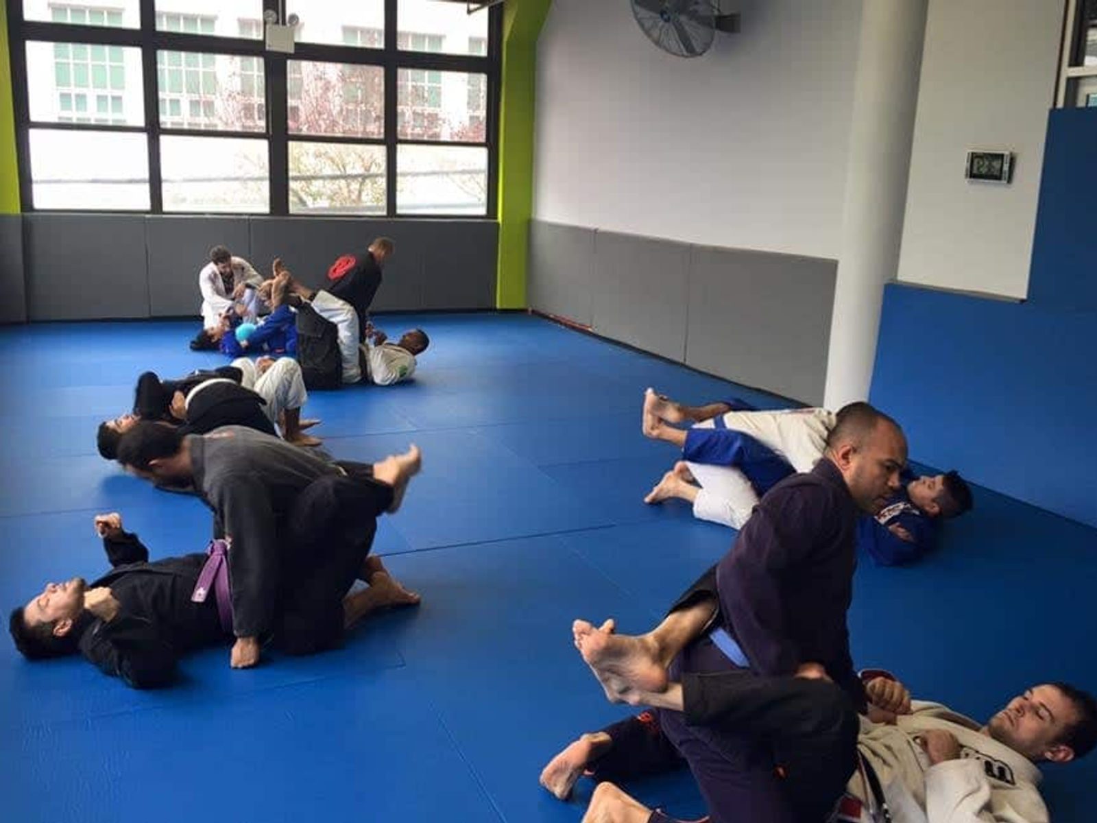 Lifestyle BJJ community
